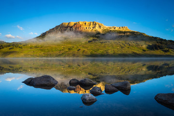 什么是生物的种和界？