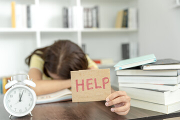 什么是变色龙？